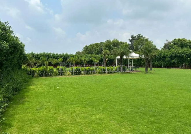 property_images/plot_in_jaipur_1779697371_6a1406db34570.PNG