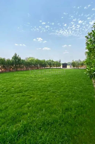 property_images/plot_in_jaipur_1779697487_6a14074f636d1.PNG