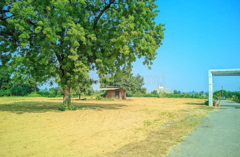 property_images/plot_in_lucknow_1778053451_69faf14b5a88b.PNG