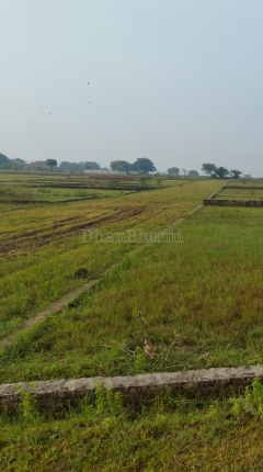 property_images/plot_in_mirzapur_1779181164_6a0c266c01bc5.PNG