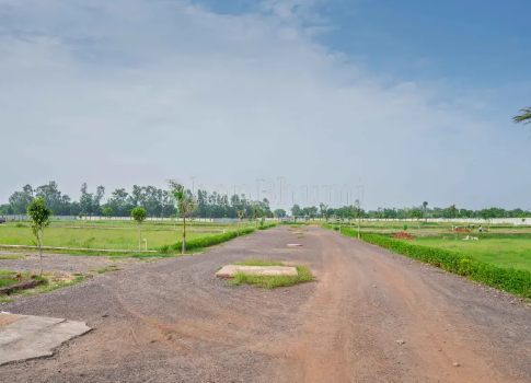 property_images/plot_in_noida_1777886540_69f8654c037cc.png