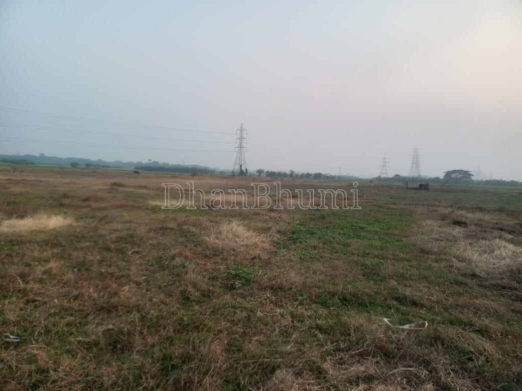 property_images/plot_in_pali_1778912341_6a080c552280e.jpeg