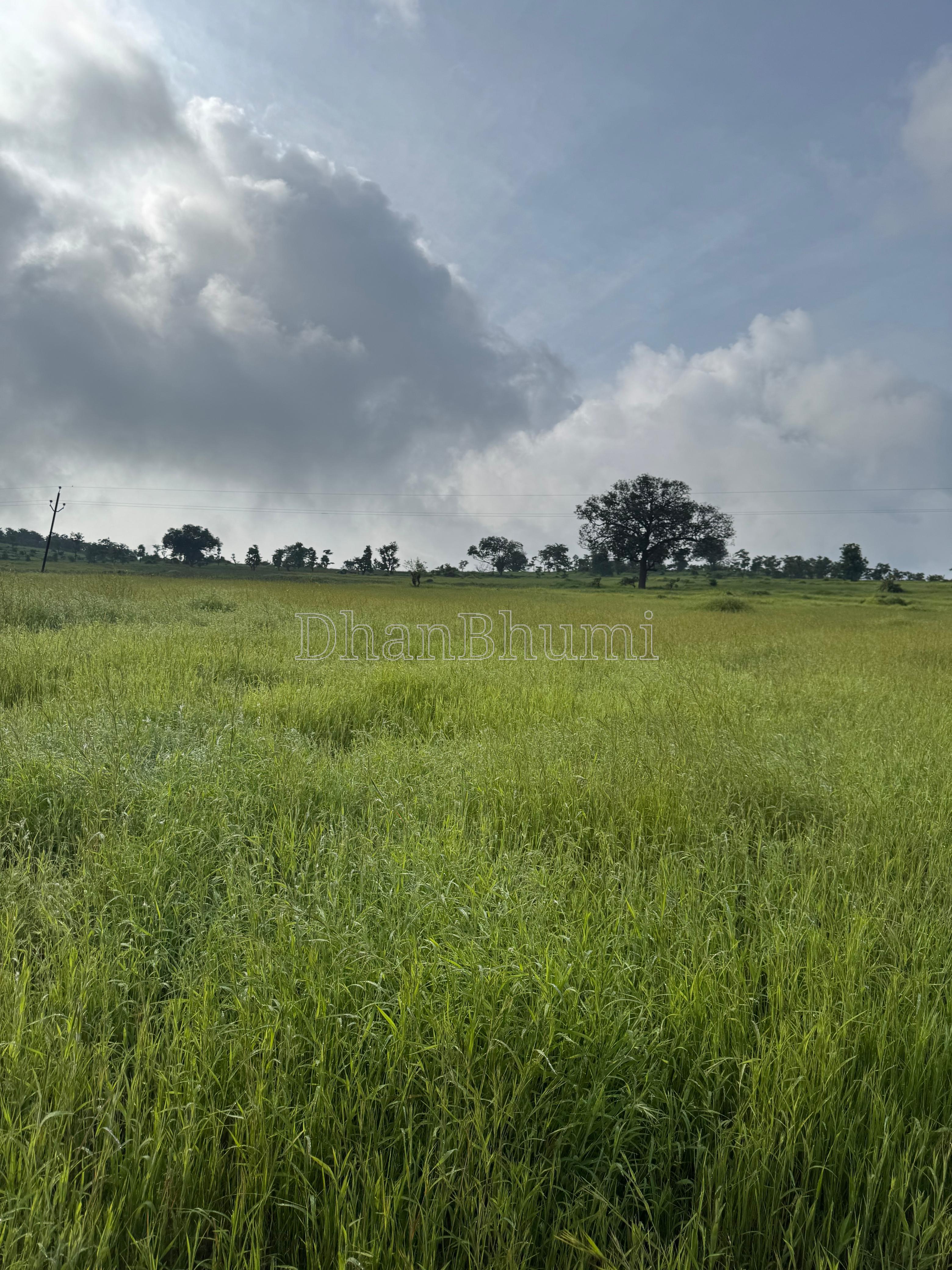 property_images/residential_in_mumbai_1777982697_69f9dce9444b5.jpeg