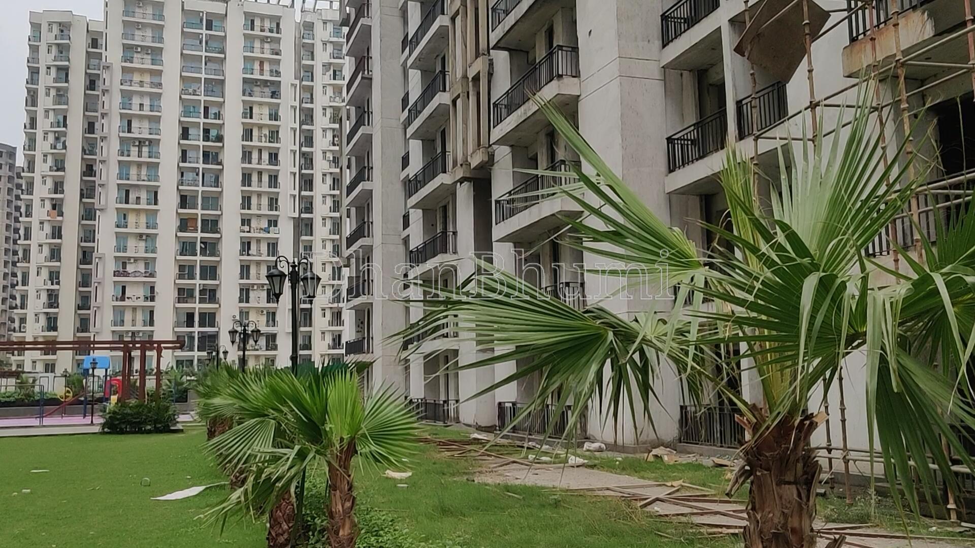 Sikka Karnam Greens
