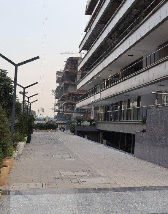 Saya Piazza