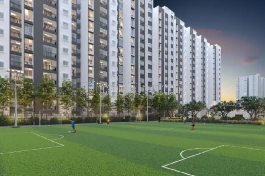 Provident Ecopolitan