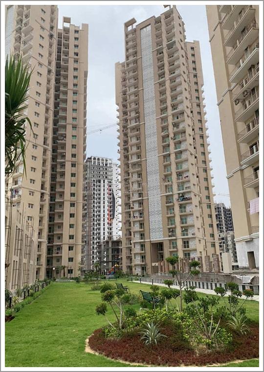 Apex Golf Avenue