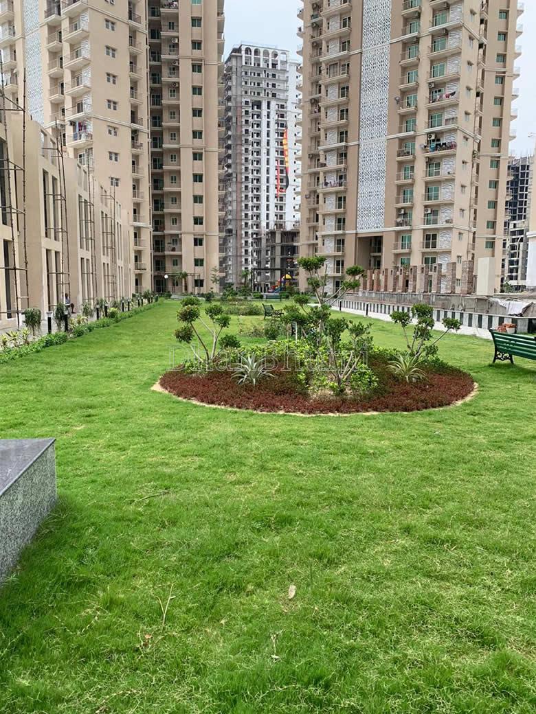 Apex Golf Avenue 2